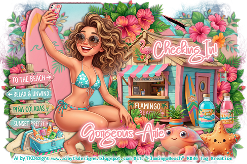 sArieFlamingoBeachChkInKK36TKD vi.png