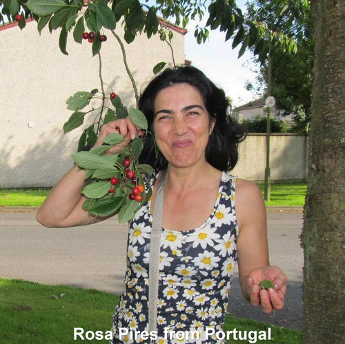 Rosa Pires from Portugal 047.jpg