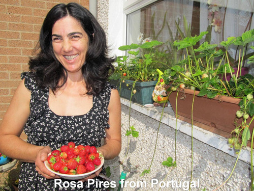 Rosa Pires from Portugal 052.jpg