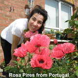 Rosa Pires from Portugal 043