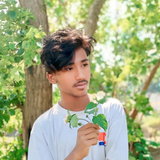 temp.png