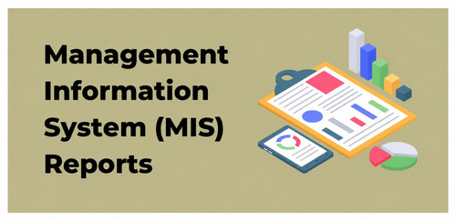 MIS Report Services in Ghaziabad | Accurate Business Reporting Solutions.jpg