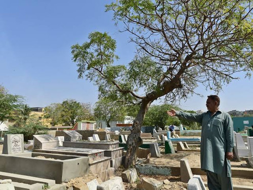 Graveyard Project