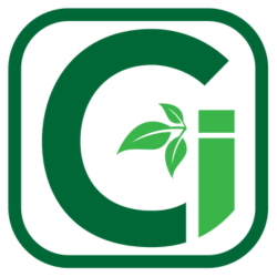 Cgi Green logo