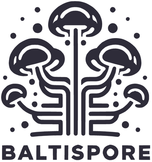 Baltispore logo