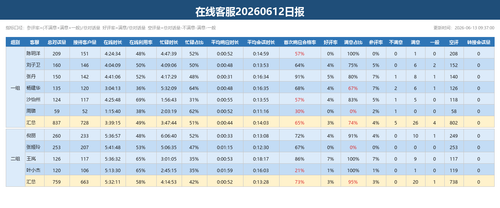 在线客服日报 20260612.png
