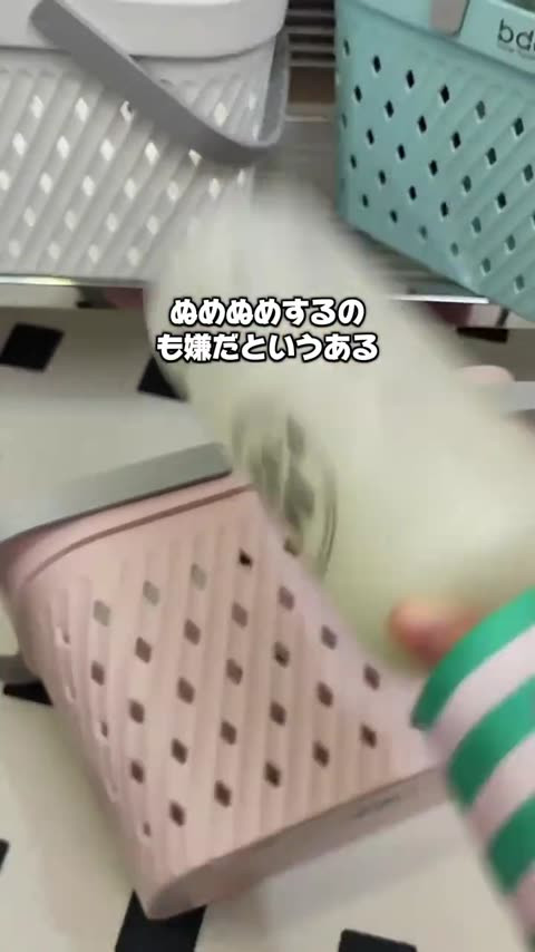 frame 0.jpg