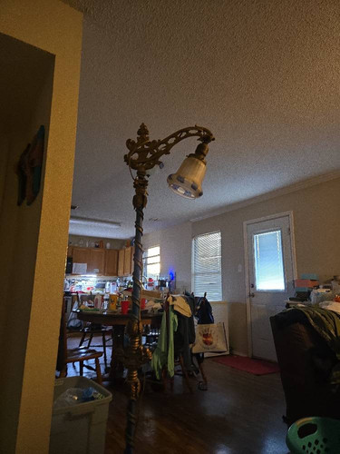 893e005058cd.jpg