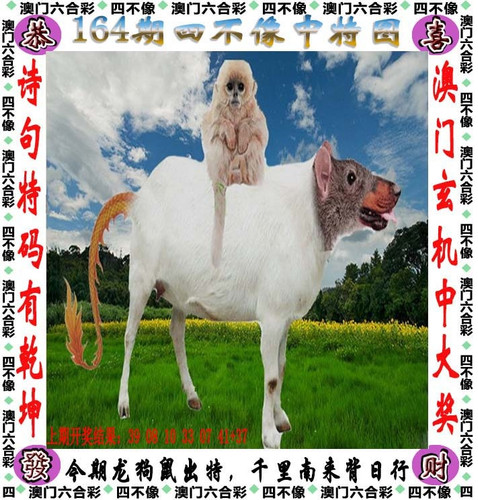 amsbx.jpg
