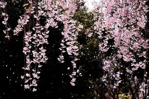 0a032b8907a7.png