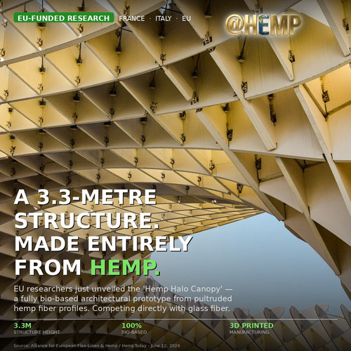 hemp halo final.jpg