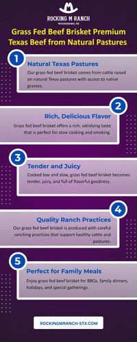 Grass Fed Beef Brisket Premium Texas Beef from Natural Pastures.jpg