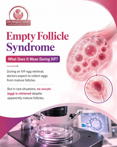 Best Fertility & IVF Specialist in Rohtak, Haryana - Dr Ragini Singh.jpg