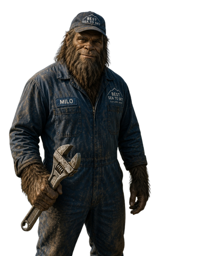 55a2021ff185.png