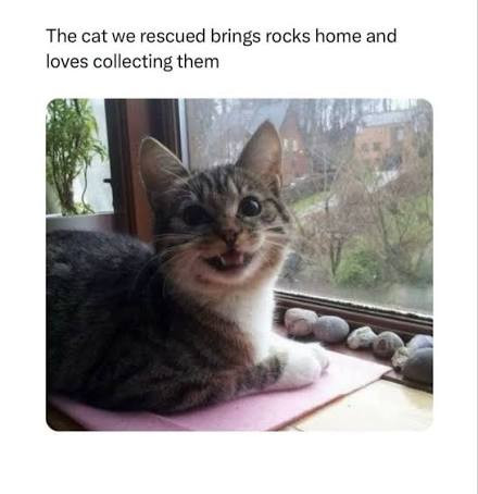 1000001071.jpg