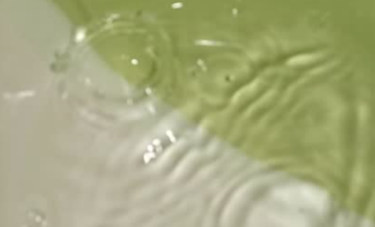 temp.png
