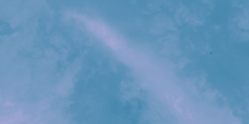 temp.png