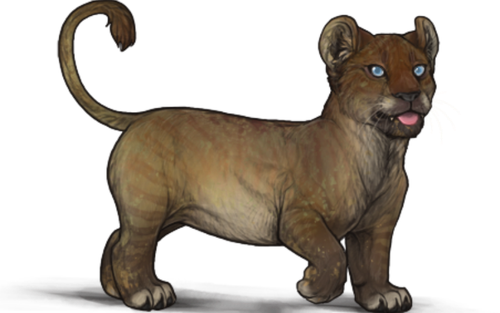 Ardwolf.png