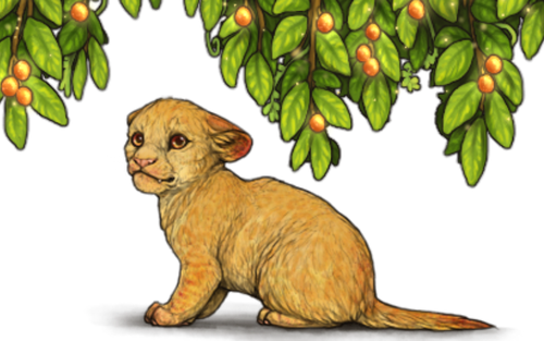 Marula.png