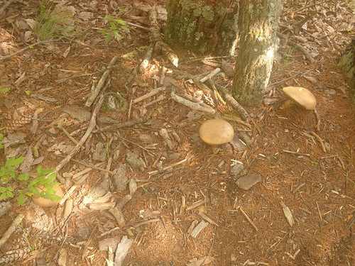 20260824 145437.jpg