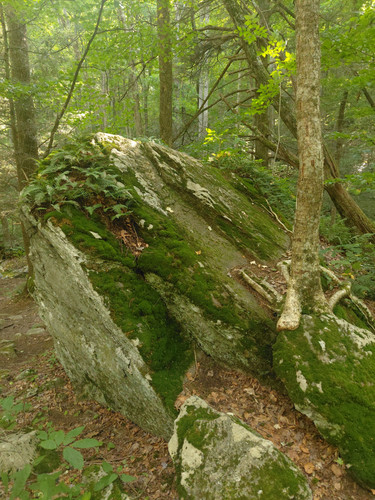 20260824 160712.jpg