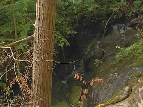 20260824 161711.jpg