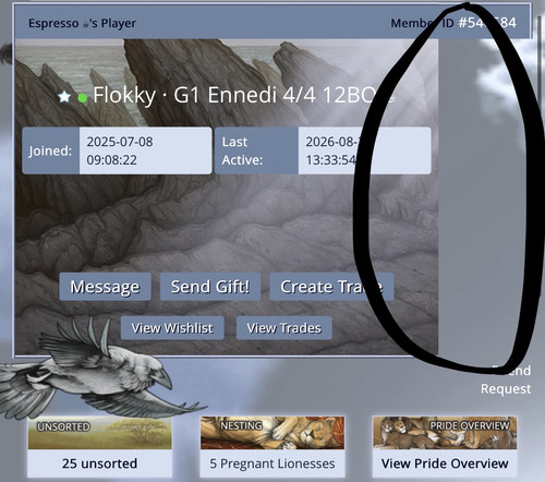 Screenshot.jpg