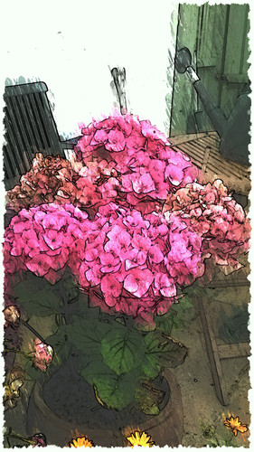 garden.jpg