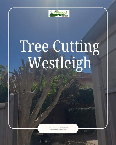 Tree Cutting Westleigh.1