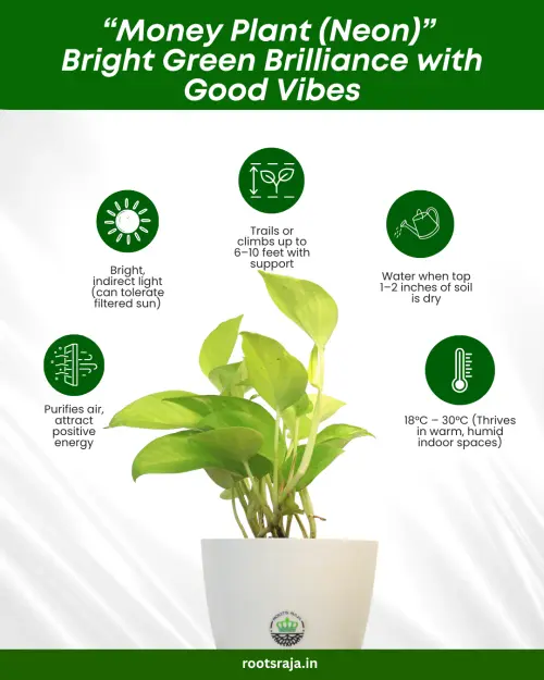 infographics website 17.webp