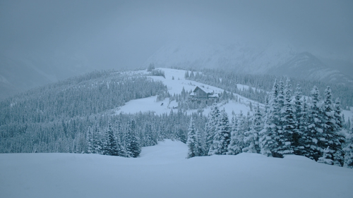 shot12.2