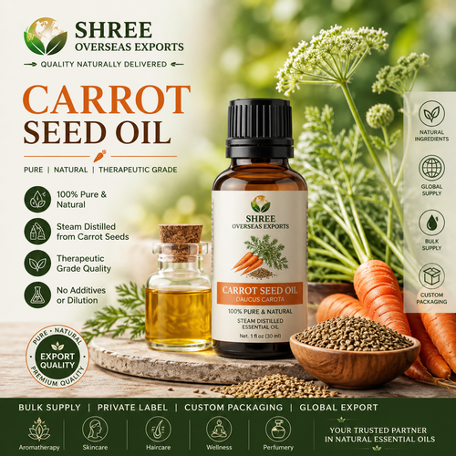 Carrot Seed Oil Manufacturer India Bulk Supply, OEM Solutions and Export Guide.png