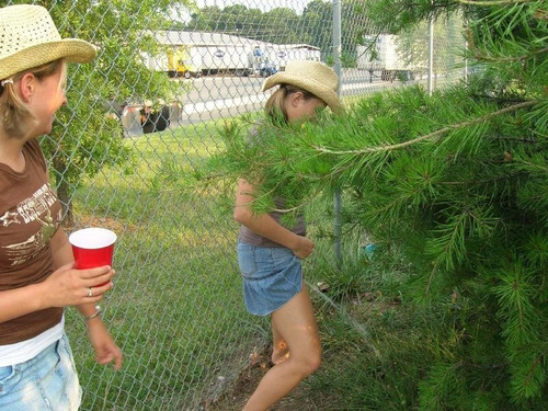 9325248 drunk pissers 35 880x660.jpg