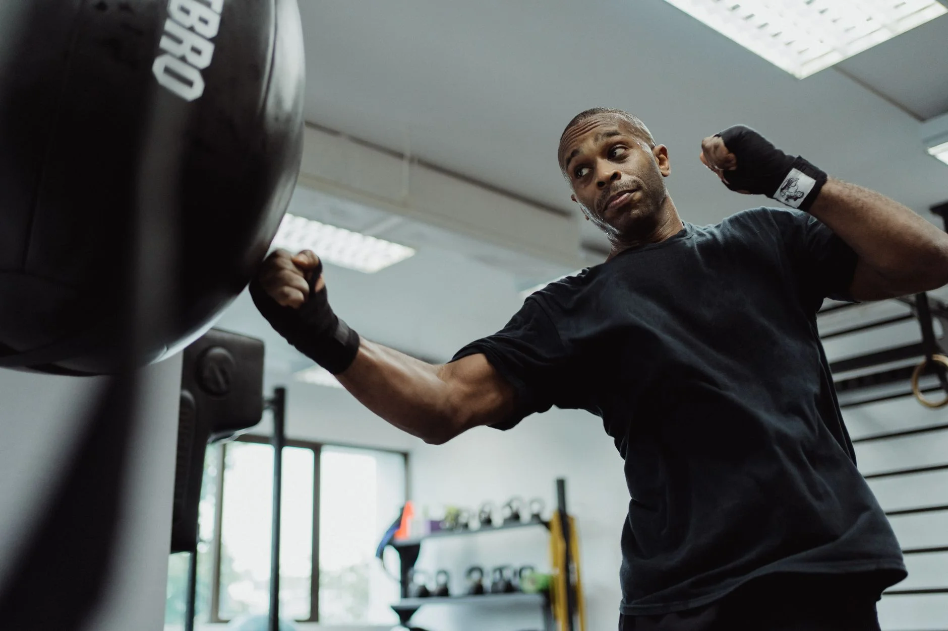 The Science of Low-Impact Cardio and Cellular Health The Science of Low-Impact Cardio and Cellular Health