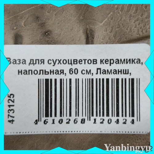 image.jpg