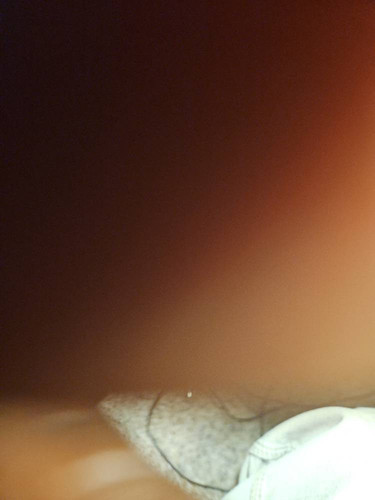 b853a113781d.jpg