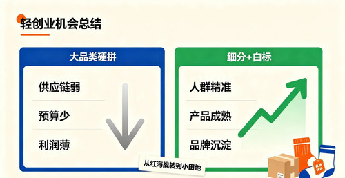 Day46 轻创业机会总结.jpg