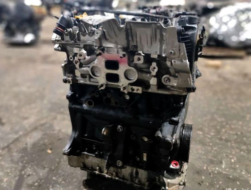 1019.jpg