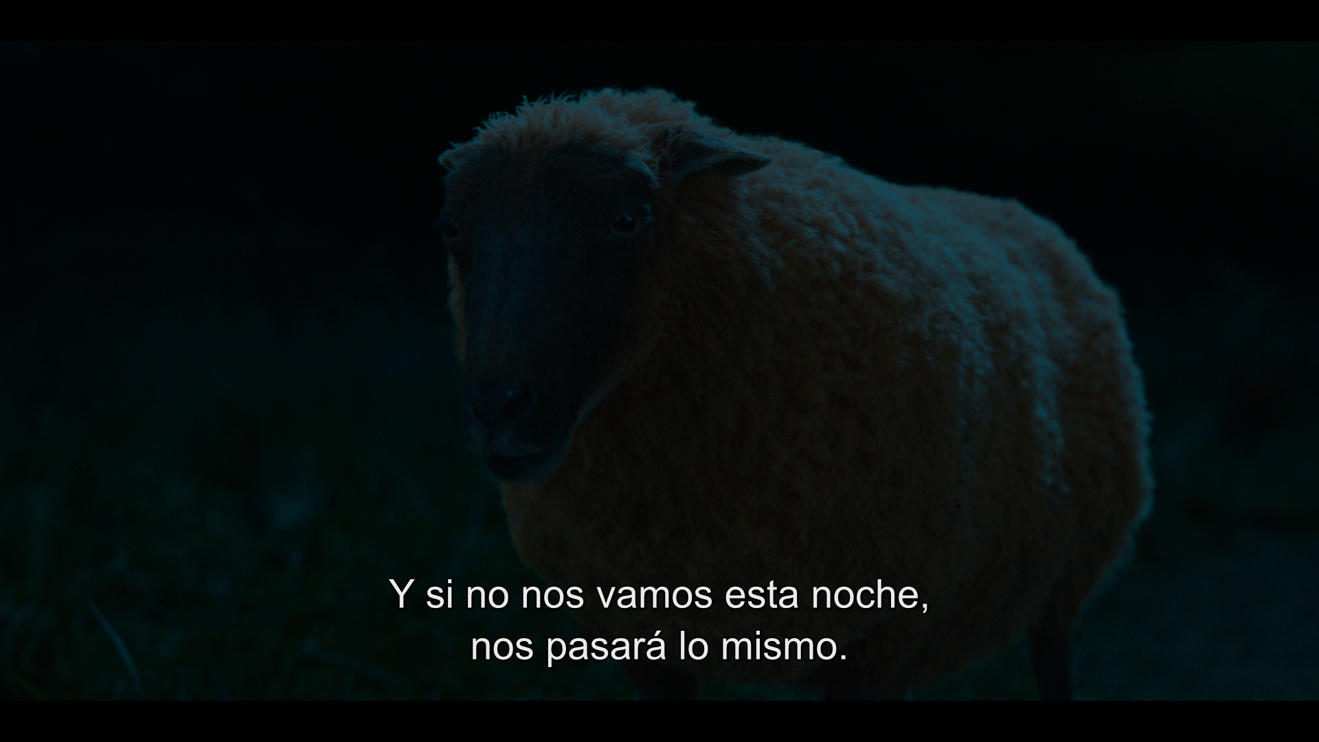 vlcsnap 00003