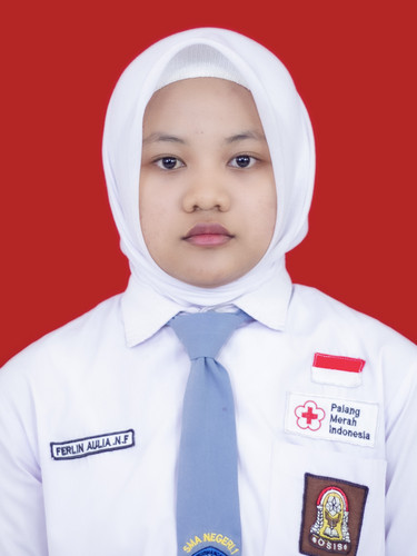 FERLIN AULIA N.jpg