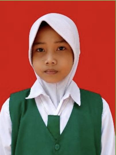 DINA.png