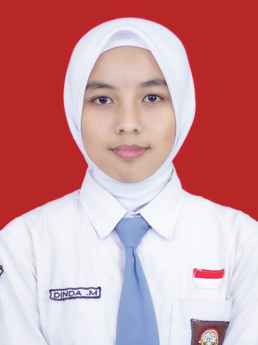 DINDA MAULIDATUNNISA.jpg