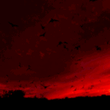 IMG 7014.gif