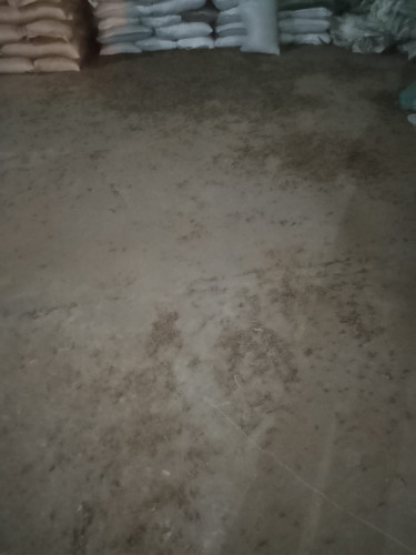 52f5070ba772.jpg