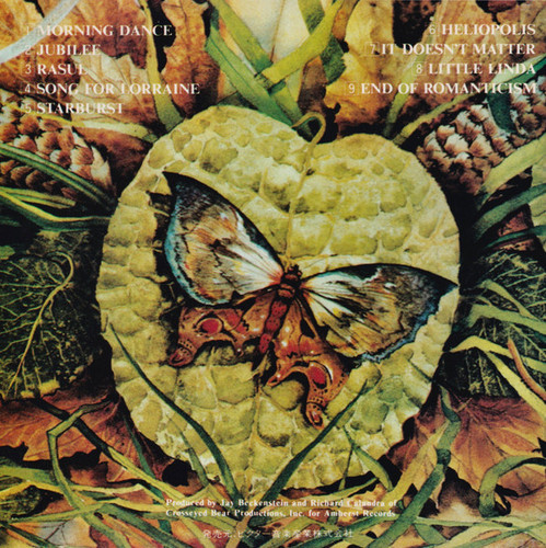 Spyro Gyra Morning Dance 1984 b.jpg