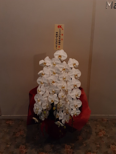 20231117 191146.jpg