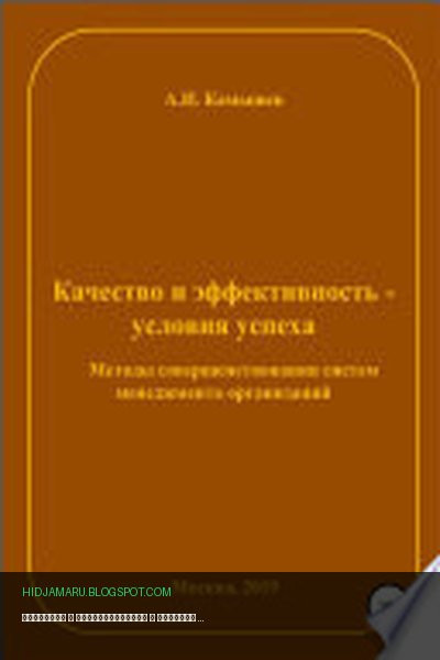 Обложка книги «Качество и эффективность – условия успеха. Методы совершенствования систем менеджмента организаций» - Александр Иванович Камышев