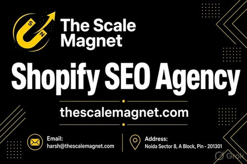 Need a Shopify SEO Agency to Improve Your Store Rankings?.jpg