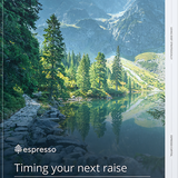 Timing your next raise: How to use debt strategically.png