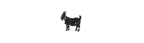 3384b2669a81.png